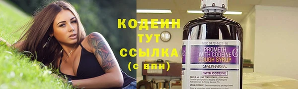 гашик Иннополис