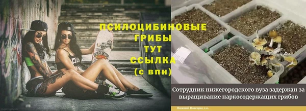 mdpv Инсар
