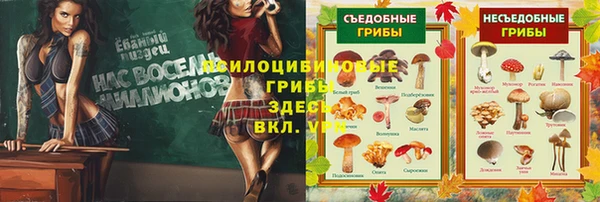 индика Семикаракорск