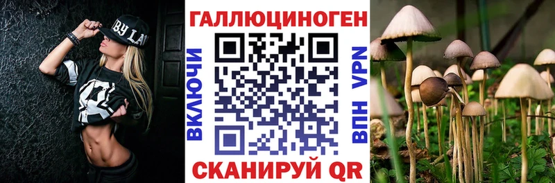 Псилоцибиновые грибы прущие грибы  Купить  Каргополь 